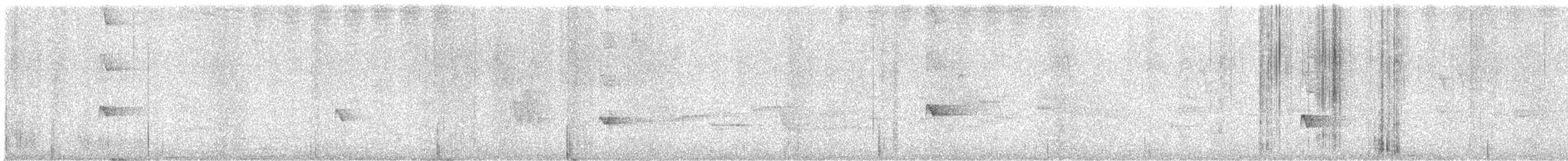 Black-cowled Oriole - ML639816767