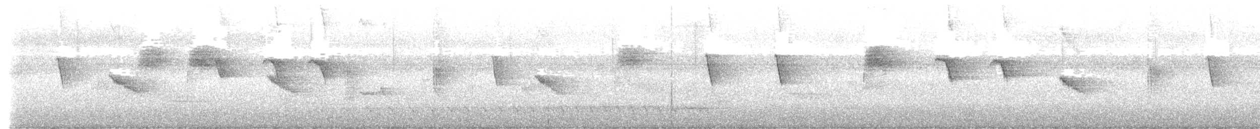 kolibřík skvrnitoprsý - ML639817669