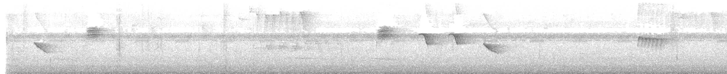 kolibřík skvrnitoprsý - ML639817670