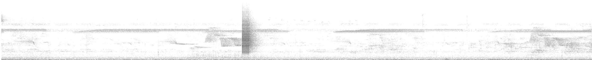 White-collared Manakin - ML639818096