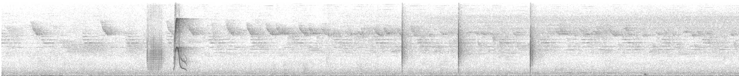 White-bearded Manakin - ML639819235
