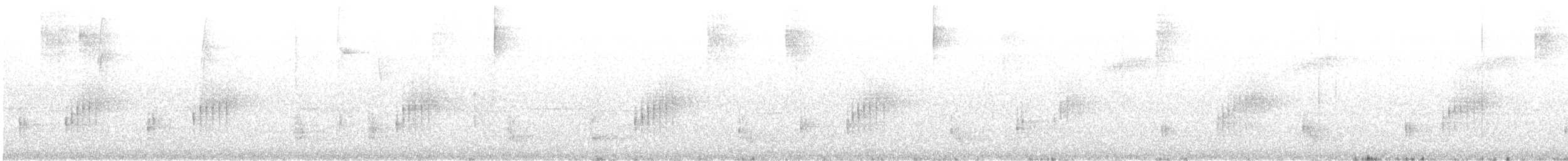 båndsmett - ML639819682