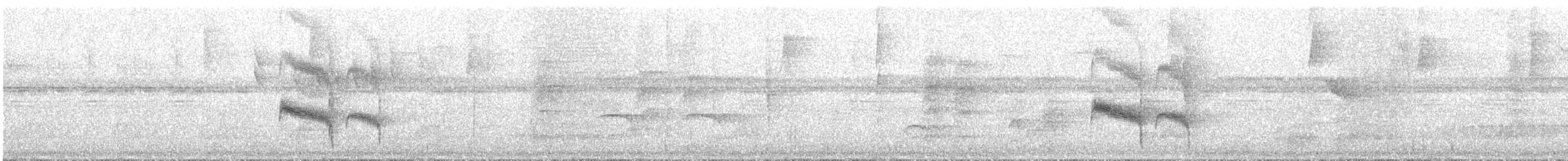 Euler's Flycatcher - ML639819713