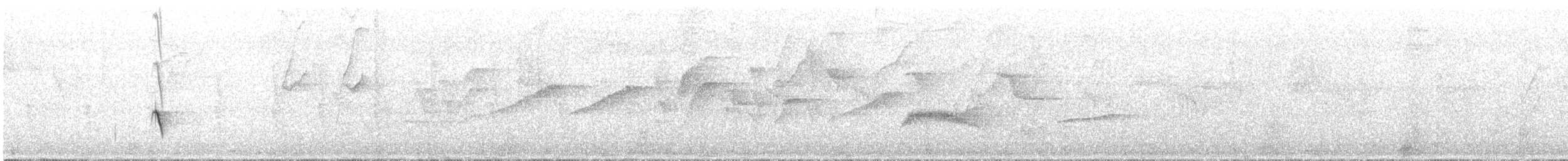 Guianan Tyrannulet - ML639820321