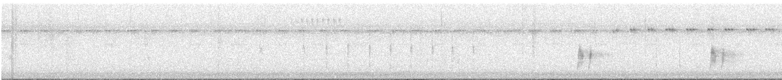 Antillean Nighthawk - ML639821189