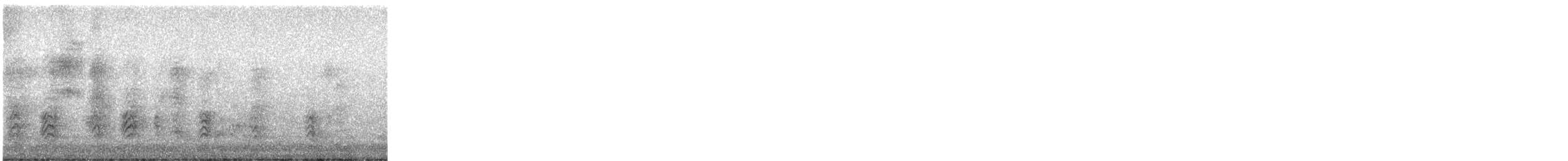 Acorn Woodpecker - ML639823444