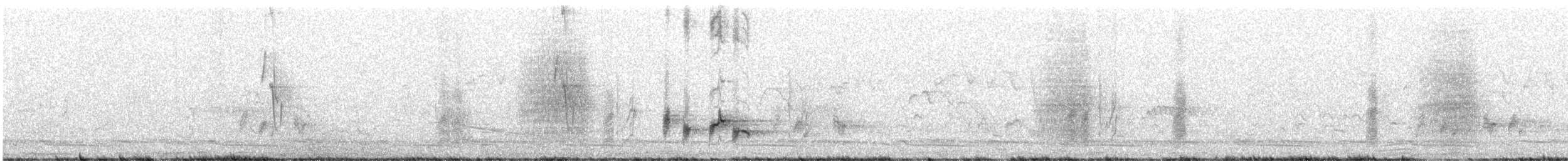 ホオジロヒヨドリ - ML639825275