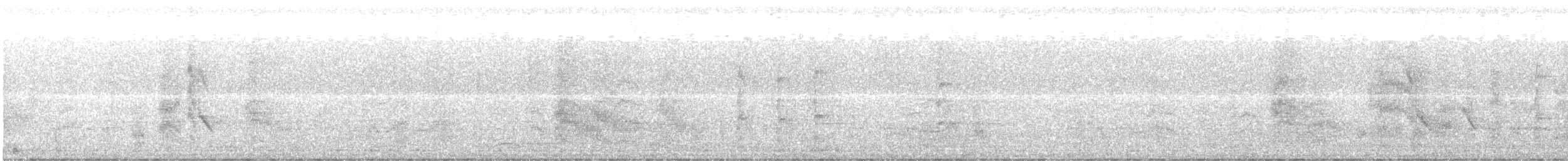 Apôtre gris - ML639830385