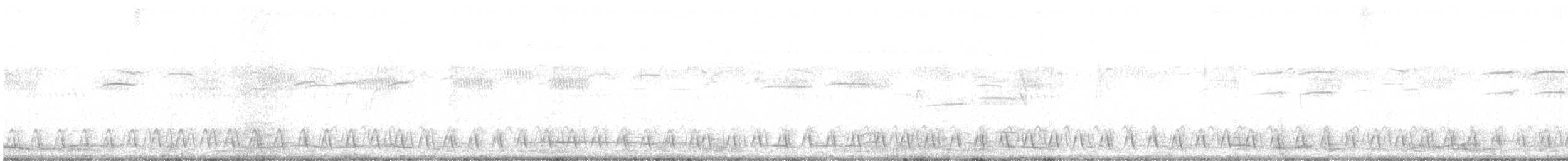 Engoulevent de Reichenow - ML639830405