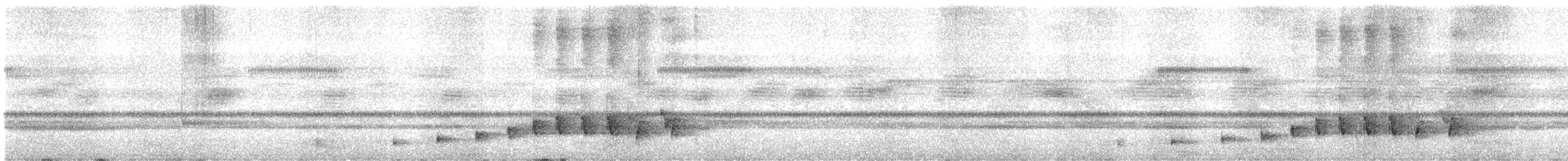 lelek středoamerický - ML639834314