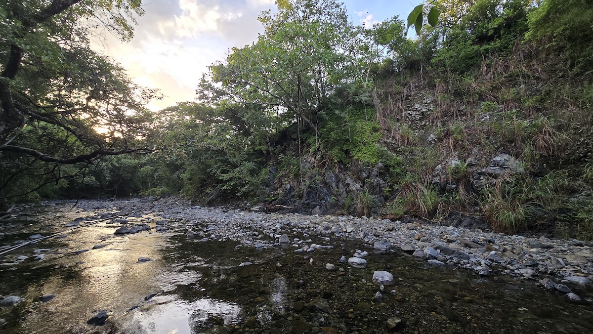 null - ML639835488