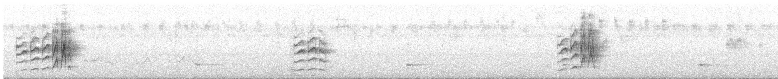 bruntyrannulett (murinus/wagae) - ML639835781