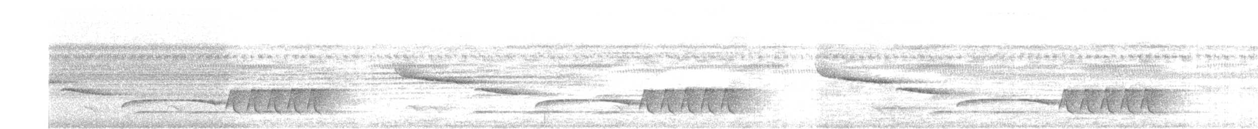 Coraya Wren - ML639836608