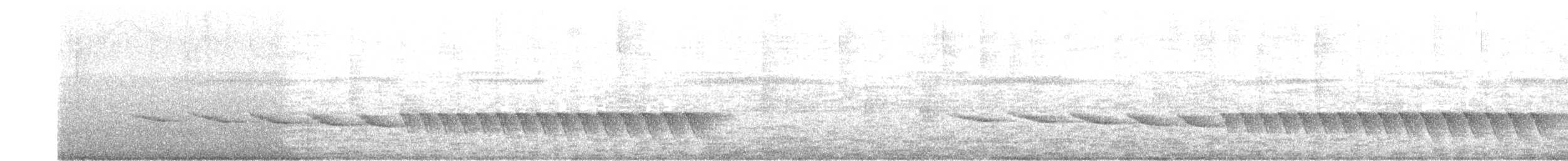 Paruline des rives (mesoleuca) - ML639836680