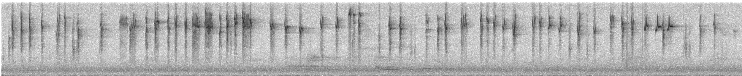 Striated Thornbill - ML639838044