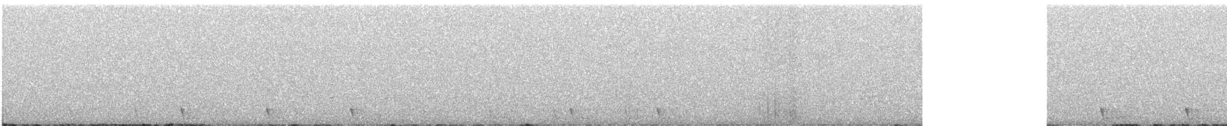 Large-tailed Nightjar - ML639839071