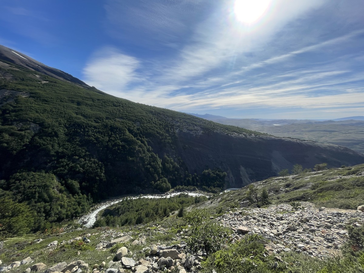 null - ML639841688
