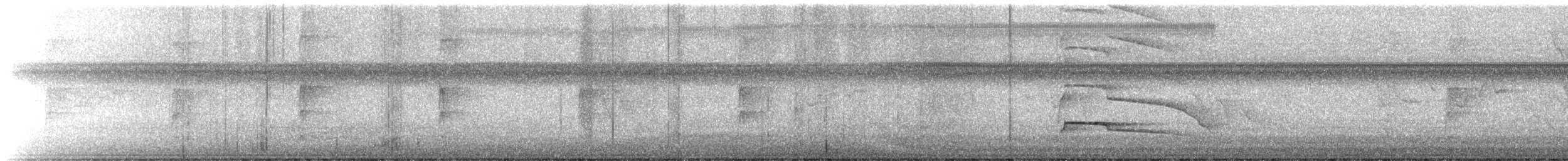 Gray-lined Hawk - ML639842093