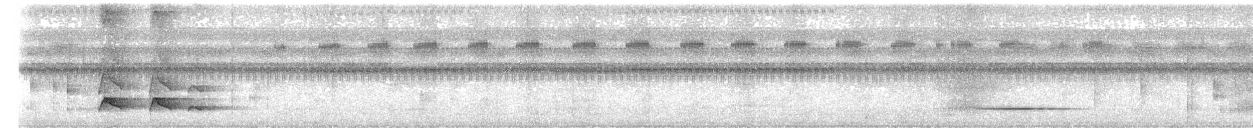 Drehschwingentyrann - ML639842970
