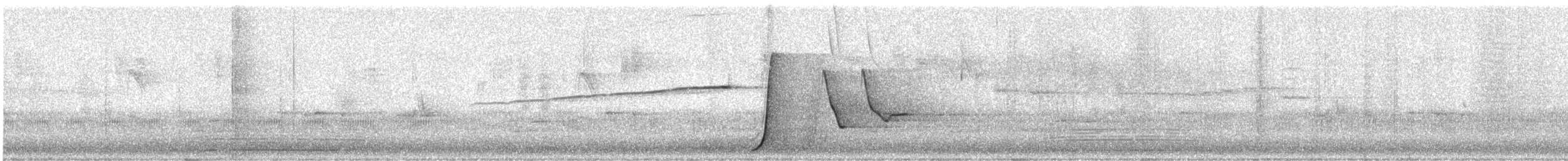 Eastern Whipbird - ML639843333