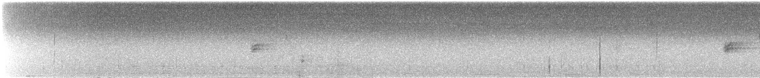 ネルソントゲオヒメドリ - ML639843422