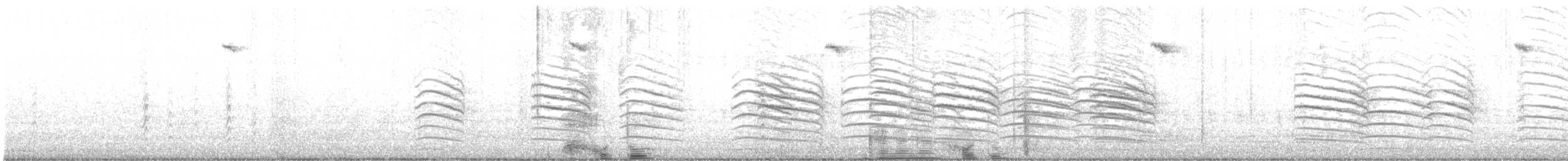 カノコスズメ - ML639844245