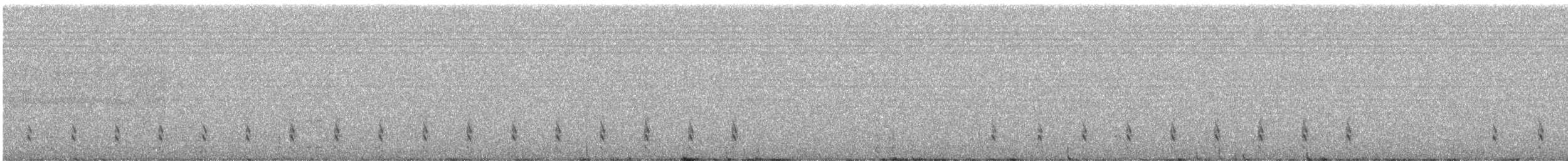 Magellanic Snipe - ML639844402