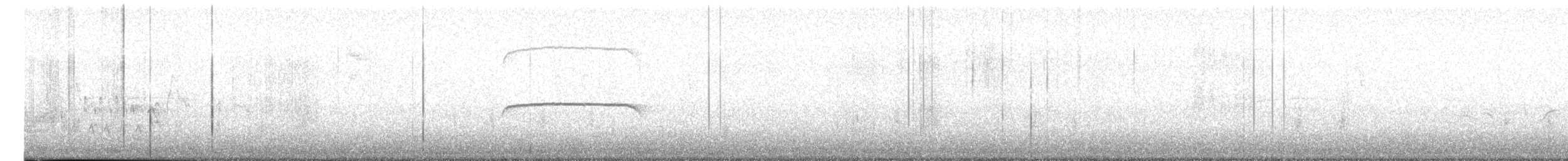 Patagonian Tyrant - ML639846430