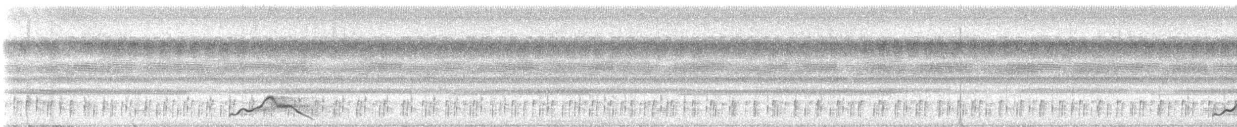 Common Pauraque - ML639851721