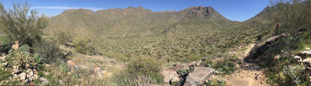 null - ML639852049