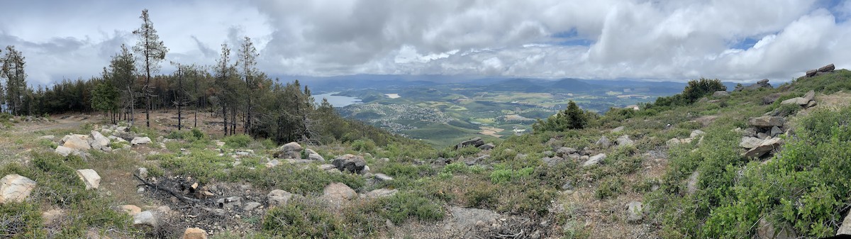 null - ML639852246