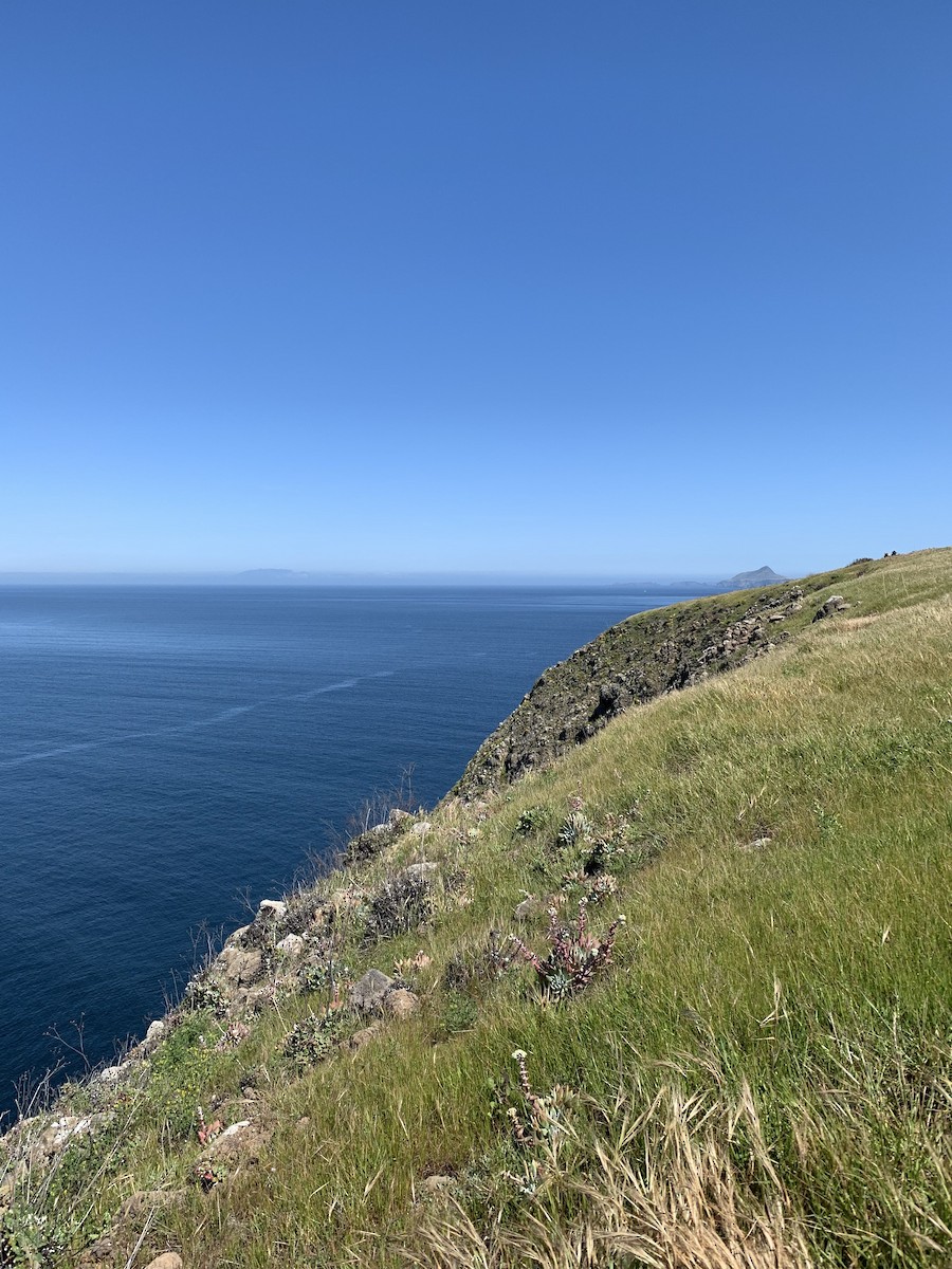null - ML639852251