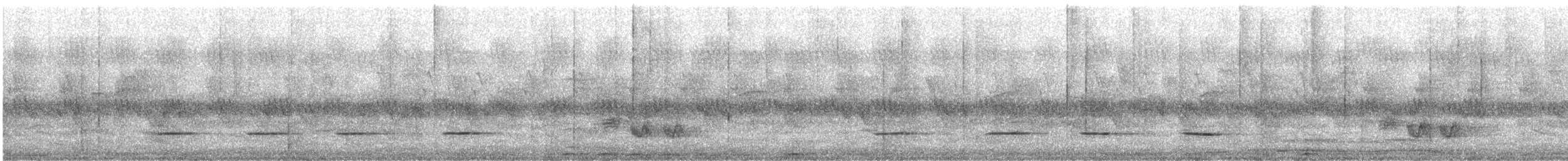 drongo šedobřichý - ML639852884