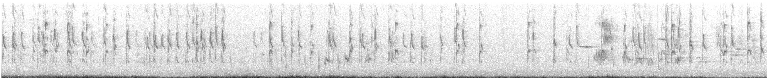 Varied Sittella - ML639852960