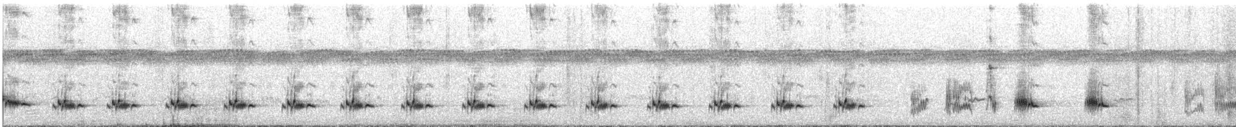 ノドグロハチマキミツスイ（laetior） - ML639853090