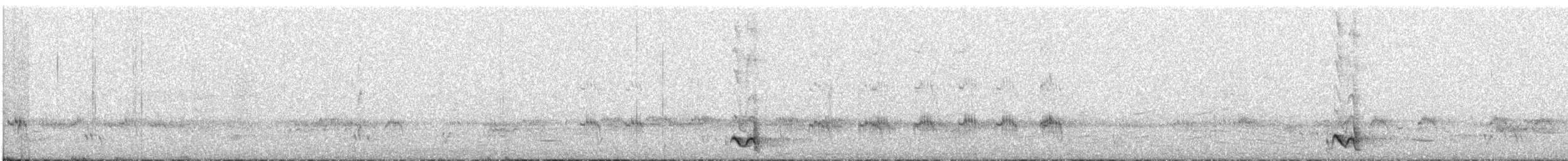 Little Friarbird - ML639853436