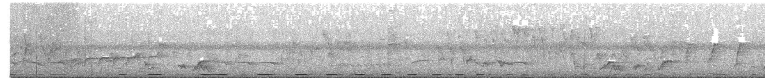 Blue-spotted Wood-Dove - ML639854726