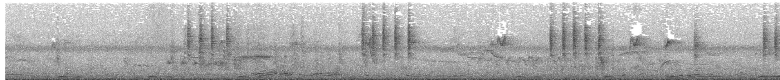 Red-chested Sunbird - ML639854836