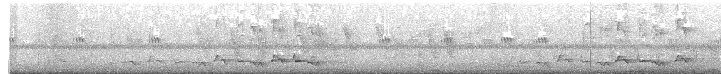 White-browed Robin-Chat - ML639854866