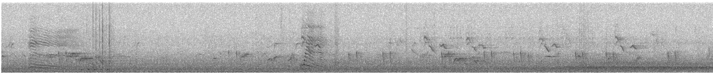 Gray Go-away-bird - ML639855503