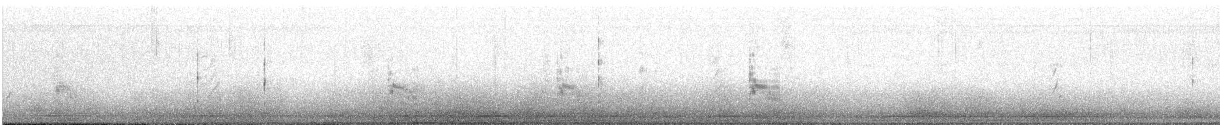 Forster's Tern - ML639859037