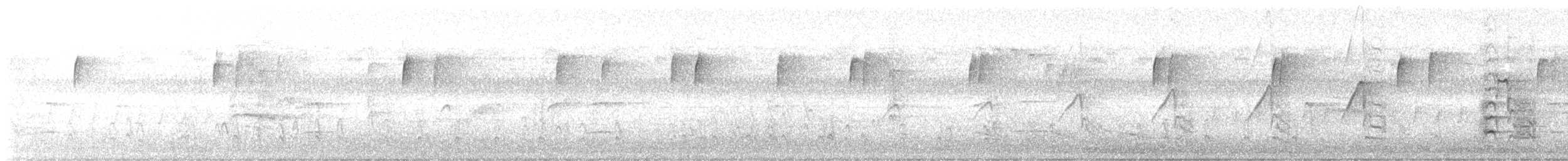 Red-shouldered Hawk - ML639861684