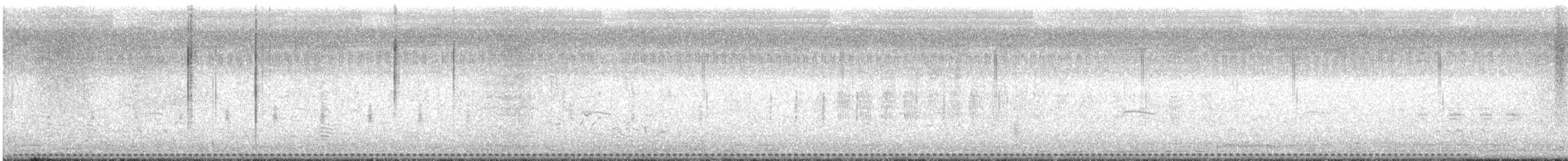 Barred Buttonquail - ML639862193