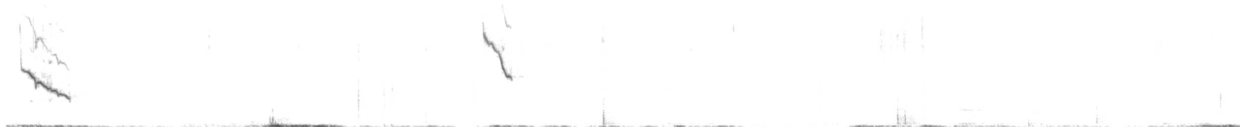 Шиферець гузький - ML639862218