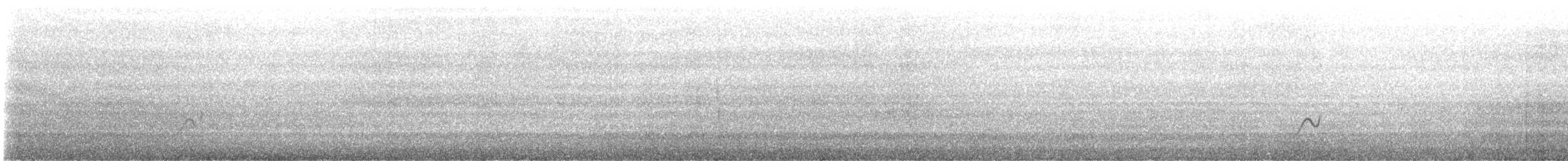 Snowy Plover - ML639863547
