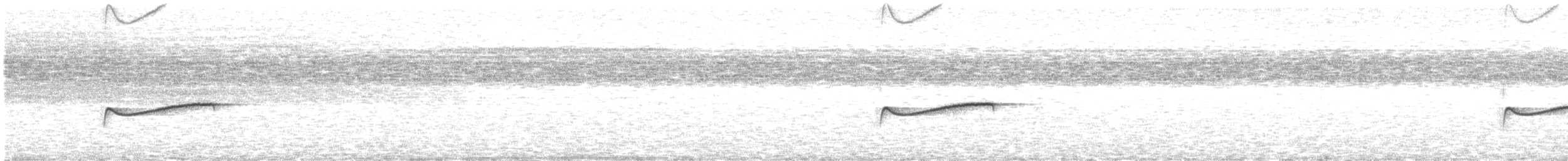 Eastern Wood-Pewee - ML639865463