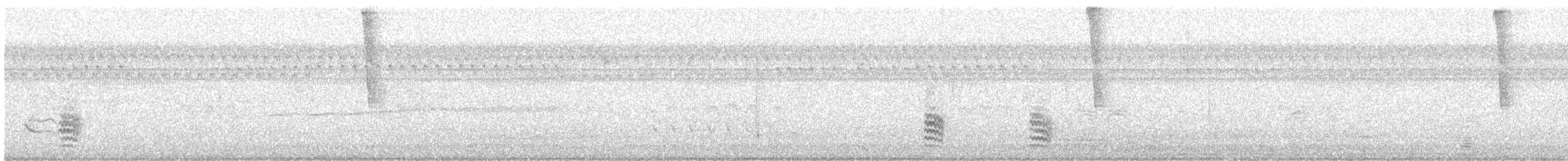 White-breasted Nuthatch - ML639865474