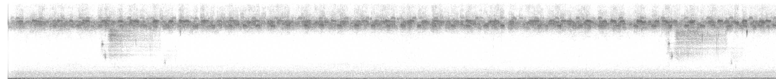 ネルソントゲオヒメドリ（subvirgata） - ML639865999