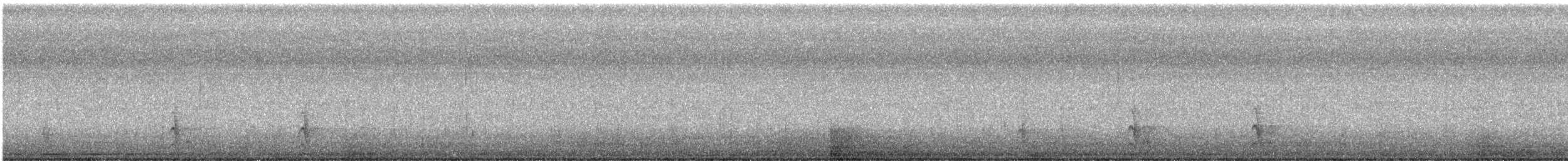 Western Screech-Owl - ML639866165