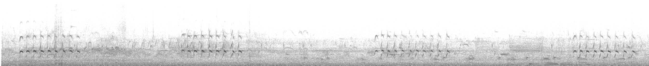 Zarapito Trinador (hudsonicus) - ML639868316